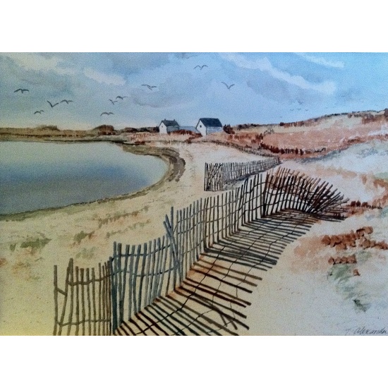 watercolor-marthas-vineyard