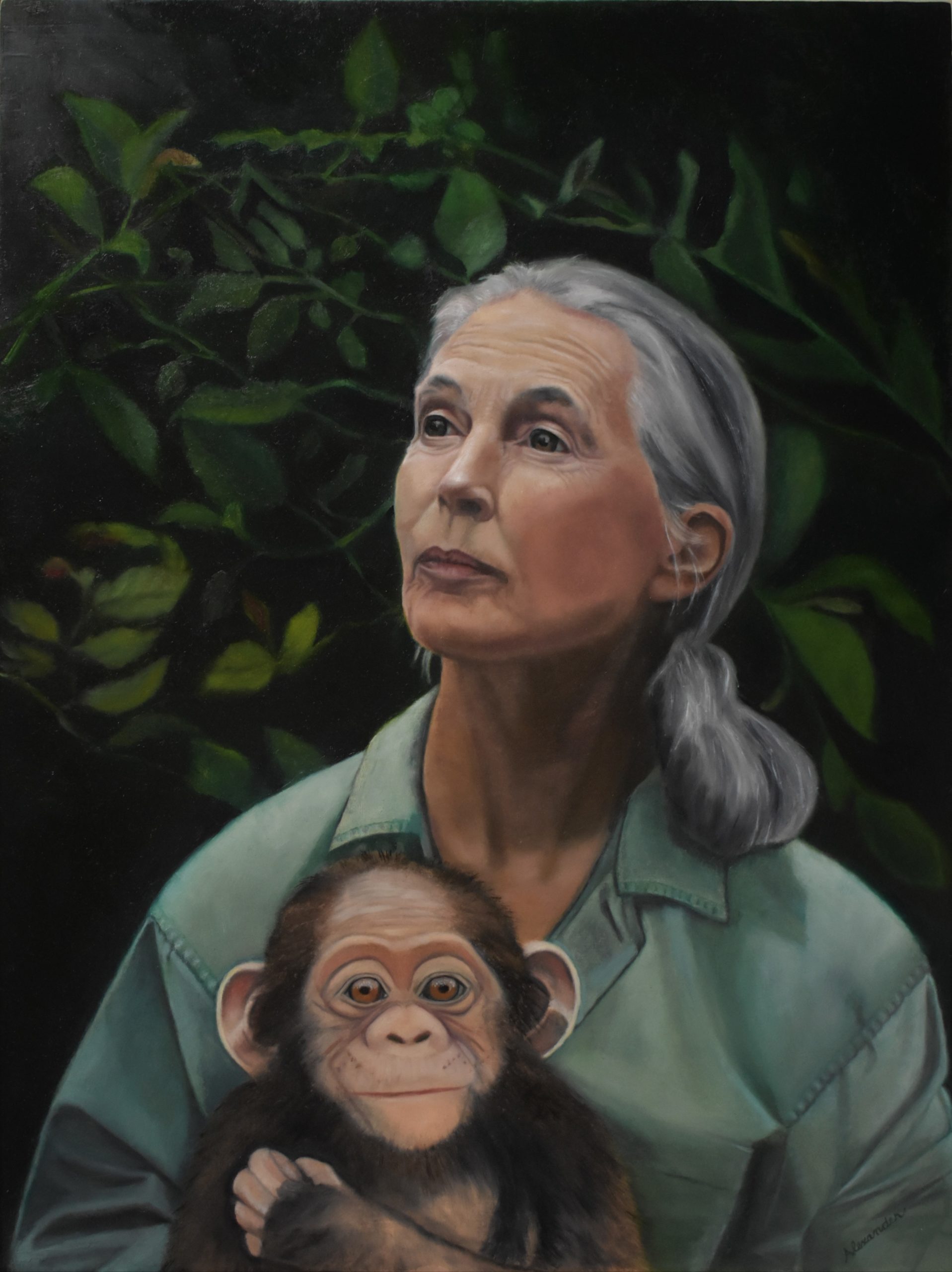 oil-painting-jane-goodall-with-infant-chimp